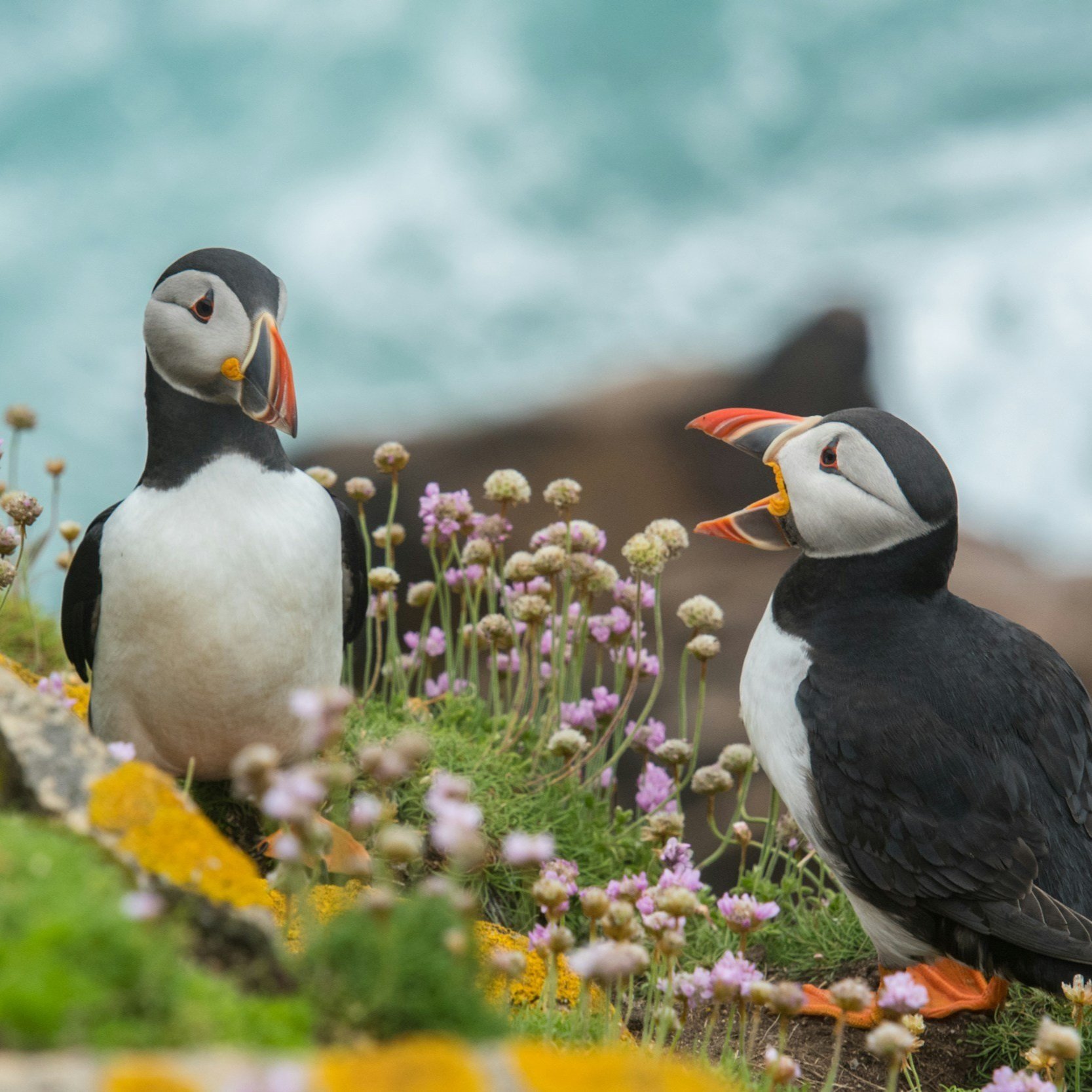 Surfing the Irish Magic – 6-Night Surf Camp in Ireland gallery 2