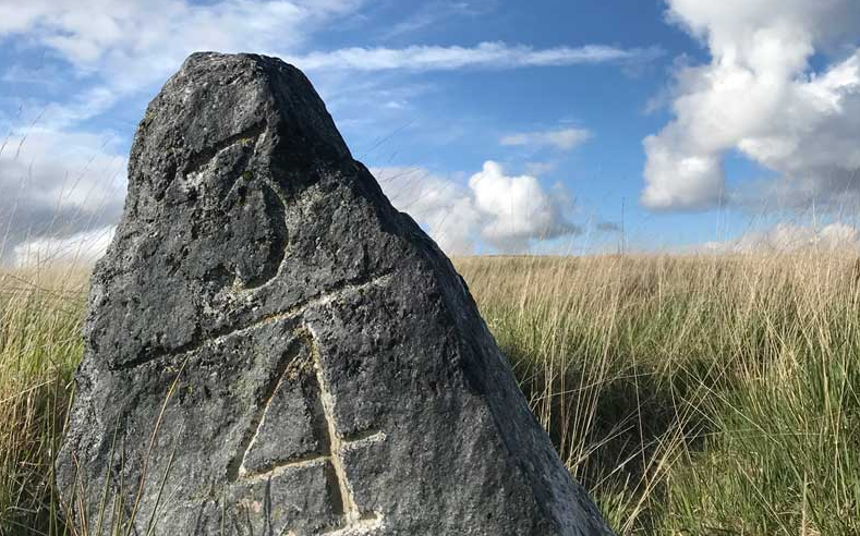 Guided Walking Tours in Dartmoor National Park gallery 16
