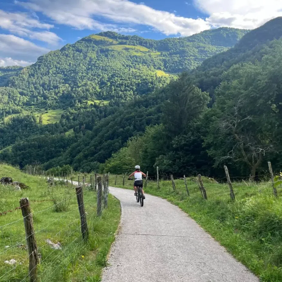 7-Night Mountain Bike Tour – Slovenian Alps to the Adriatic Coast, photo 2
