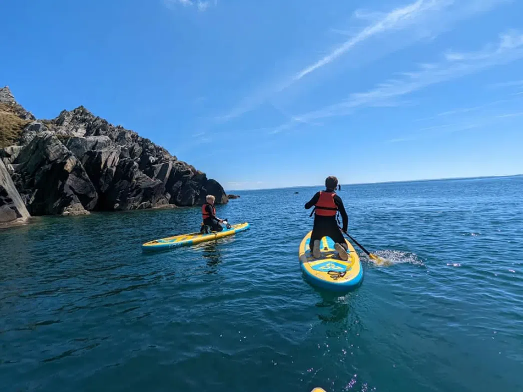 Paddleboarding Adventure in St Davids, Pembrokeshire gallery 3