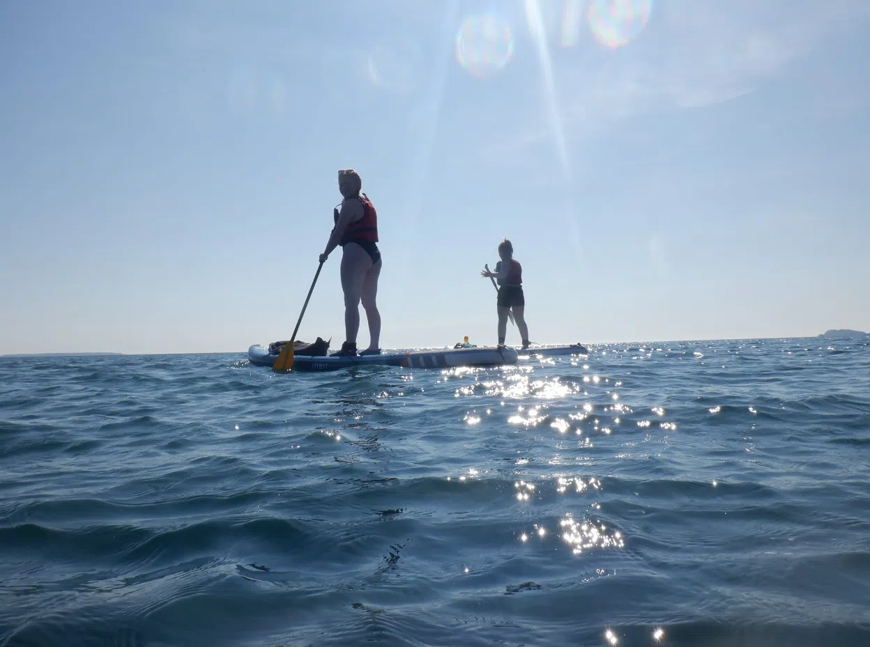 Paddleboarding Adventure in St Davids, Pembrokeshire gallery 4