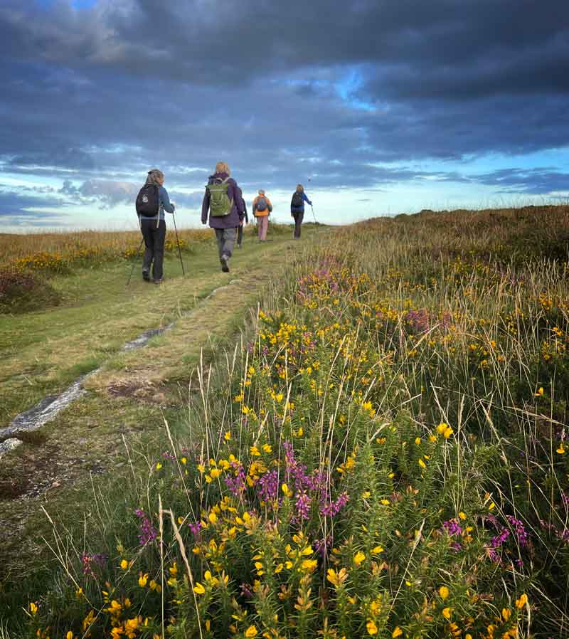 Guided Walking Tours in Dartmoor National Park gallery 9