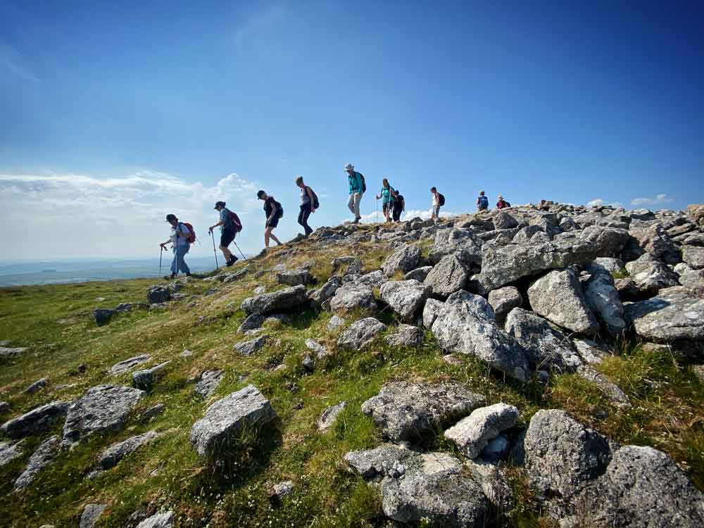 Guided Walking Tours in Dartmoor National Park, photo 3