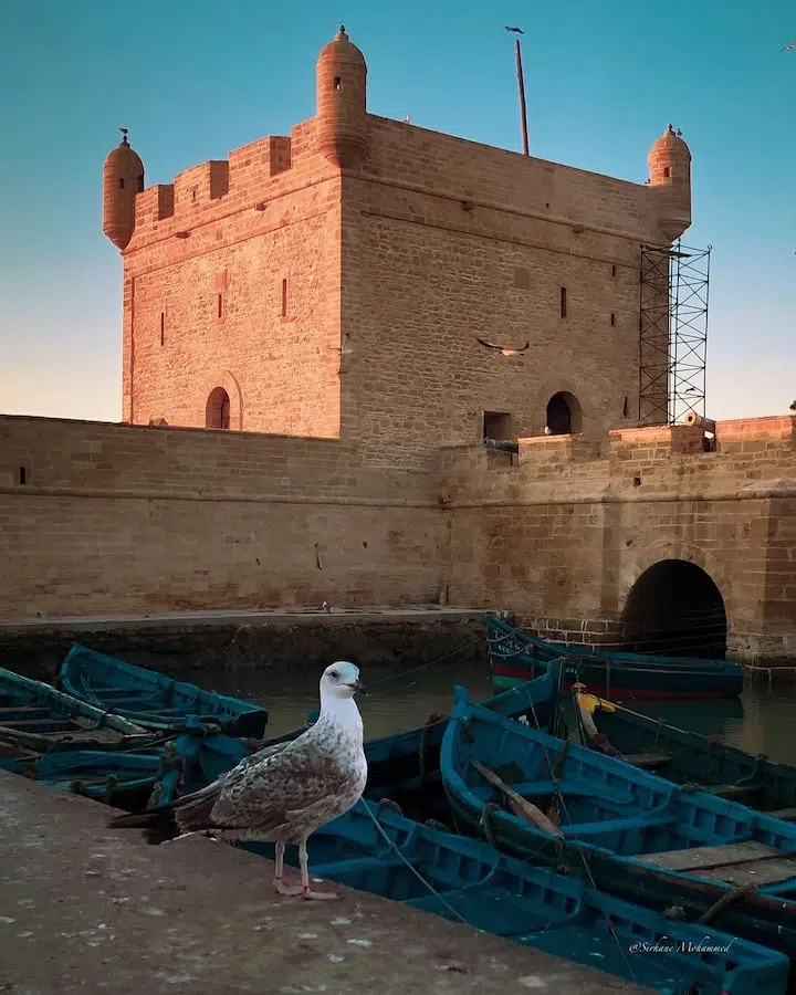 Private Guided trip to Essaouira from Marrakech, photo 3