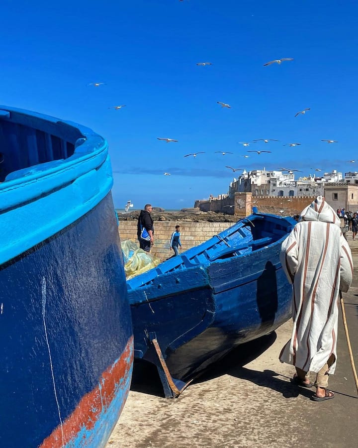 Private Guided trip to Essaouira from Marrakech, photo 4