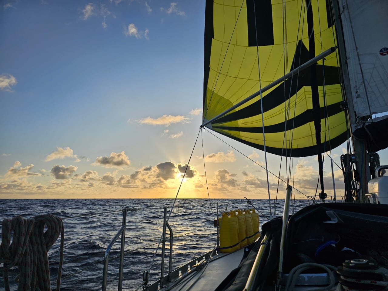 South Atlantic Sailing Expedition: Cape Town – St Helena gallery 8