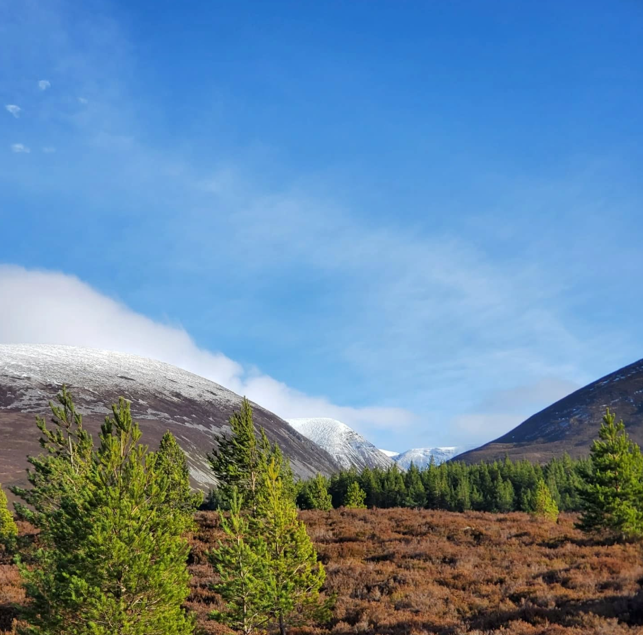 Guided Mountain Walks & Runs in the Lake District, photo 5