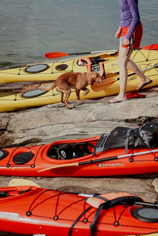 4-Night Kayak and Wild Camping Finland Island Adventure, photo 2