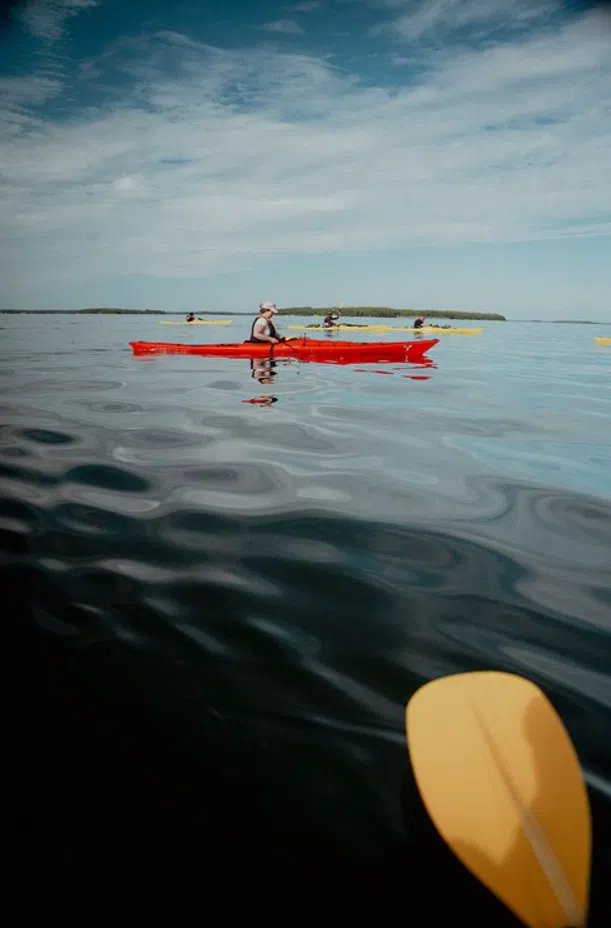 4-Night Kayak and Wild Camping Finland Island Adventure gallery 5
