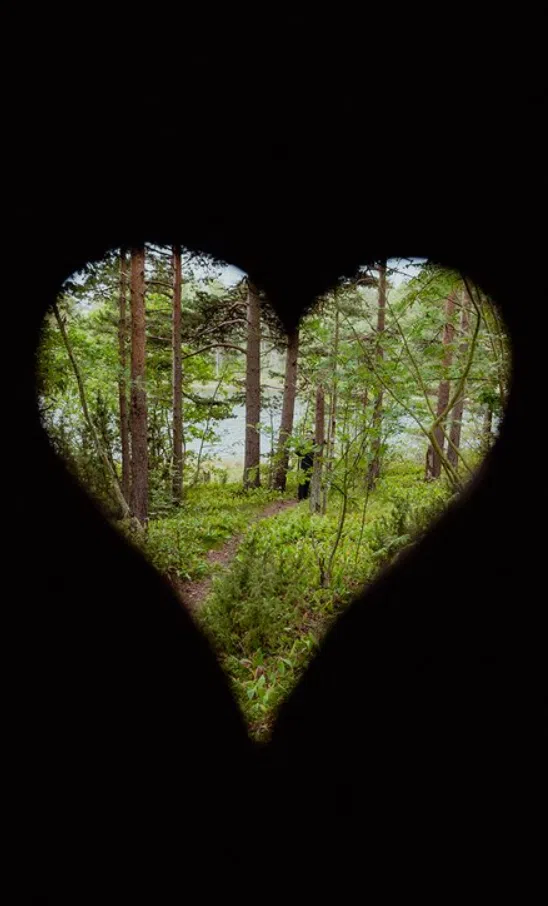 4-Night Kayak and Wild Camping Finland Island Adventure gallery 9