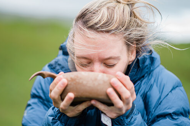 5-Night Wilderness Hiking in Knoydart, Scotland gallery 2