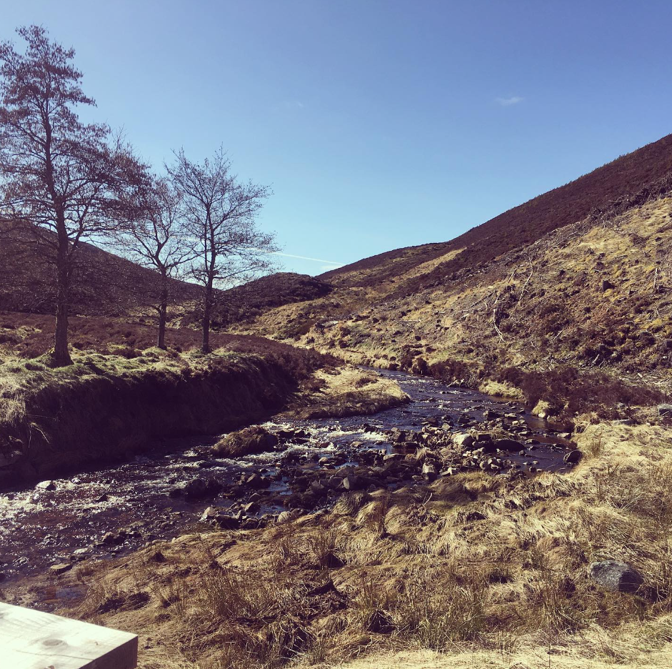 4-Night Guided Wild Cairngorms Walking Holiday, photo 2
