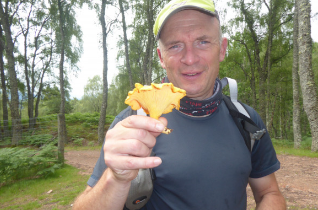 Foraging Trip in the Ancient Caledonian Pine Forests, photo 5