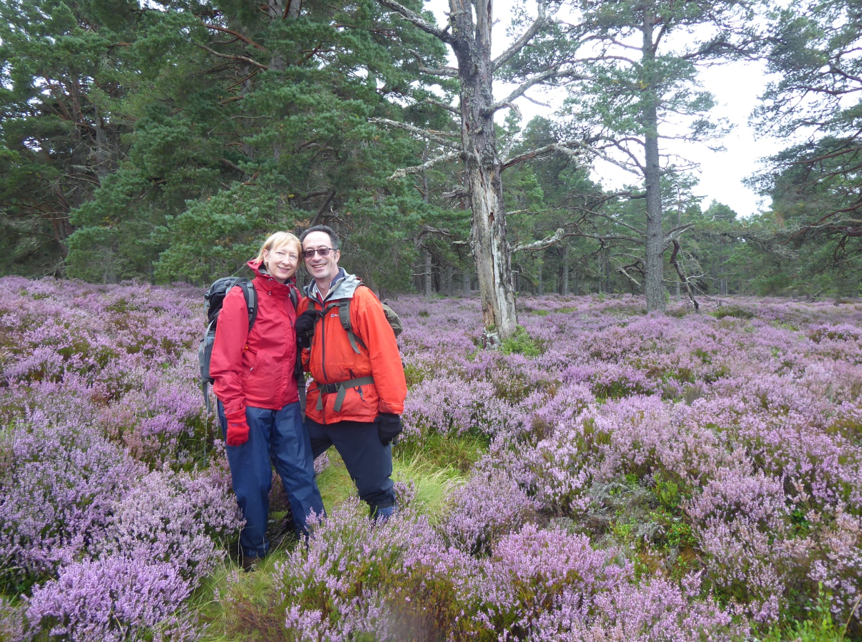 Foraging Trip in the Ancient Caledonian Pine Forests, photo 2