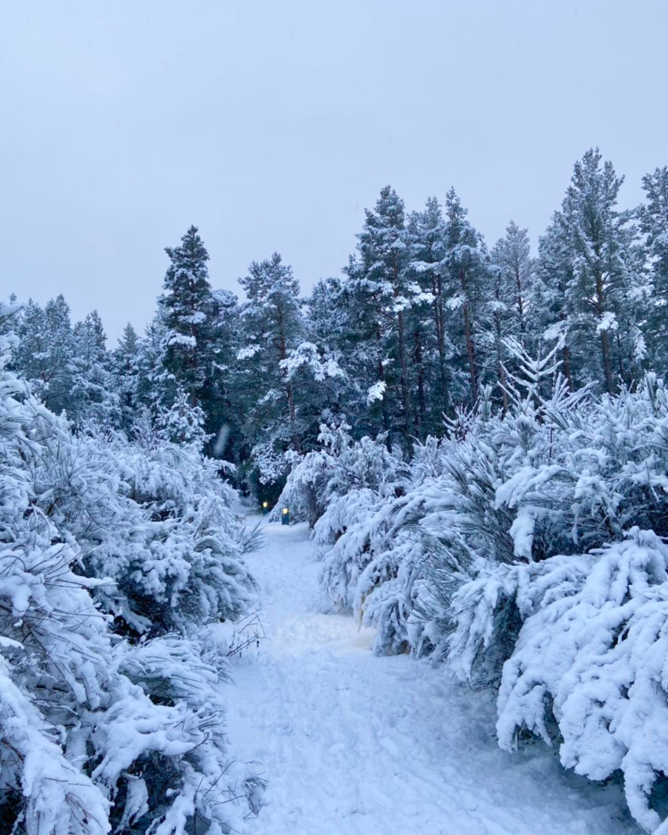 New Year Winter Walking – 6-Night Adventure in the Cairngorms gallery 2