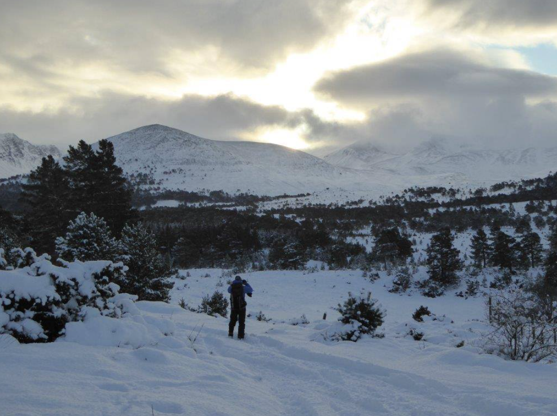 New Year Winter Walking – 6-Night Adventure in the Cairngorms gallery 3