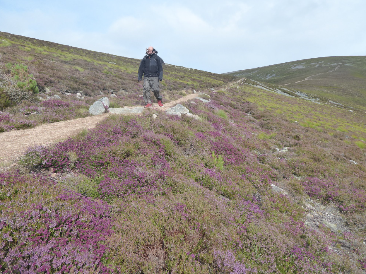 The Complete Cairngorms – 6-Night Hiking Holiday gallery 4