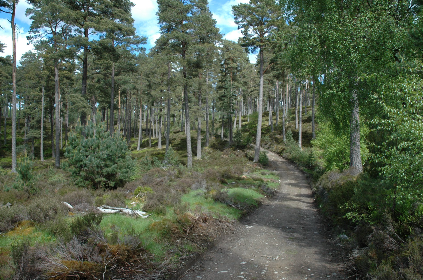 The Complete Cairngorms – 6-Night Hiking Holiday, photo 5