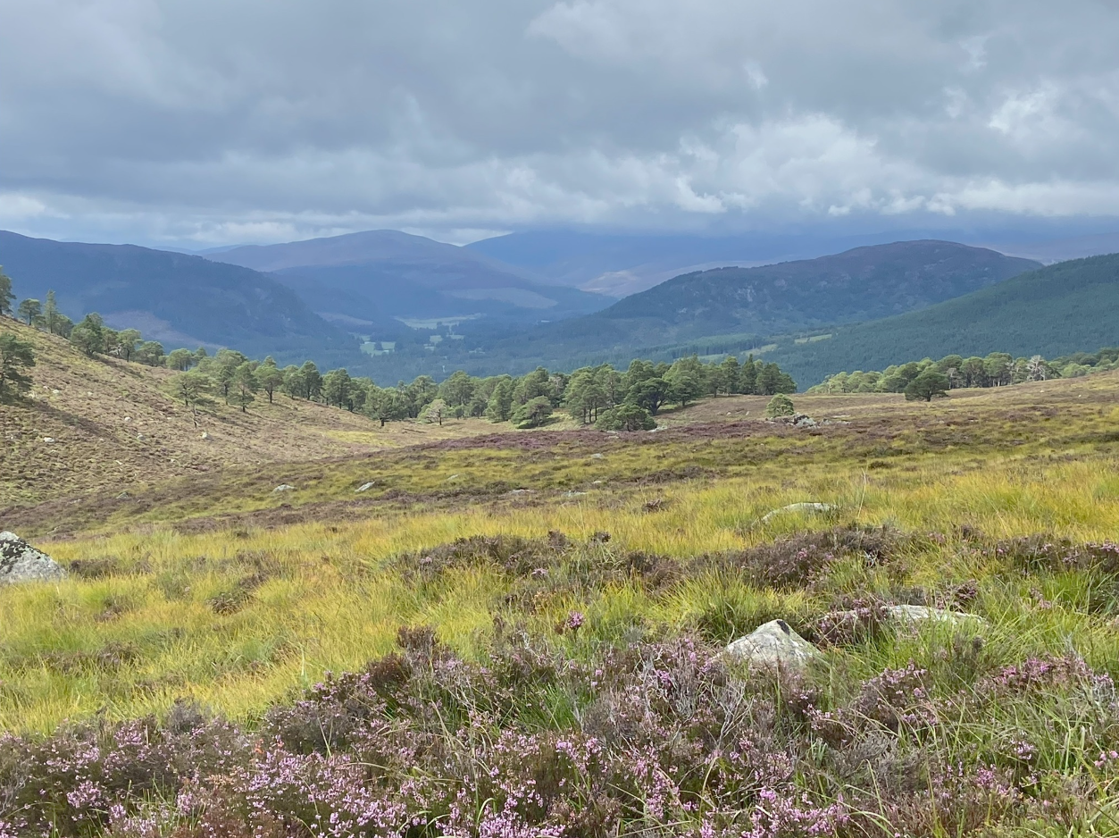 The Complete Cairngorms – 6-Night Hiking Holiday gallery 2