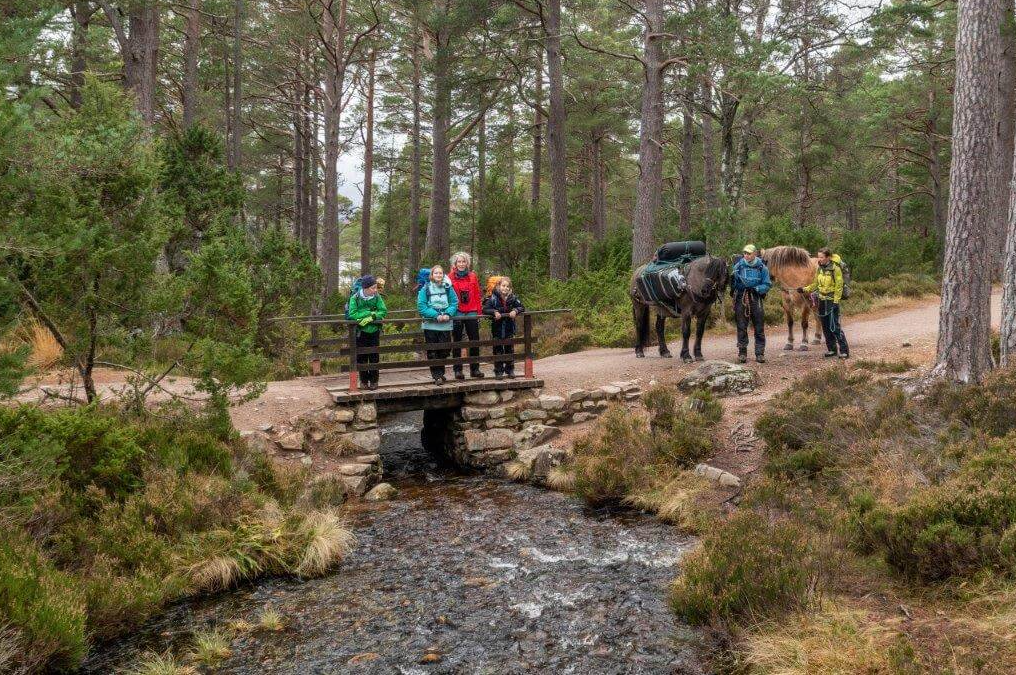 Highland Wilderness Glamping and Trekking Adventure gallery 5