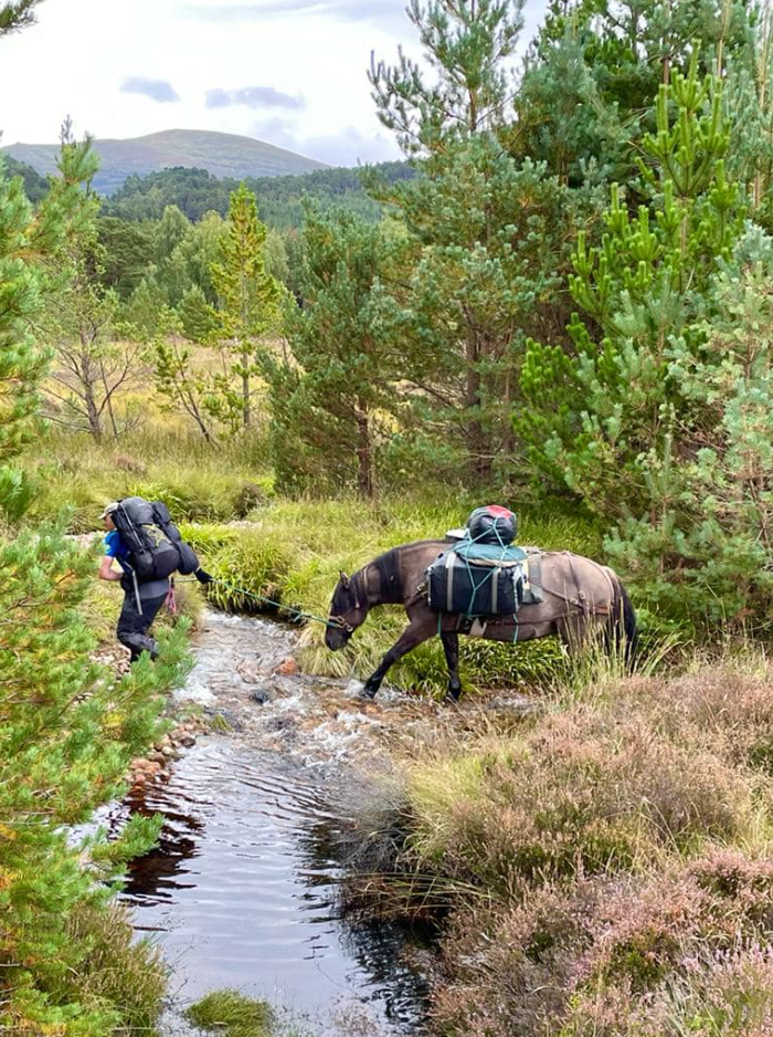 Highland Wilderness Glamping and Trekking Adventure, photo 5