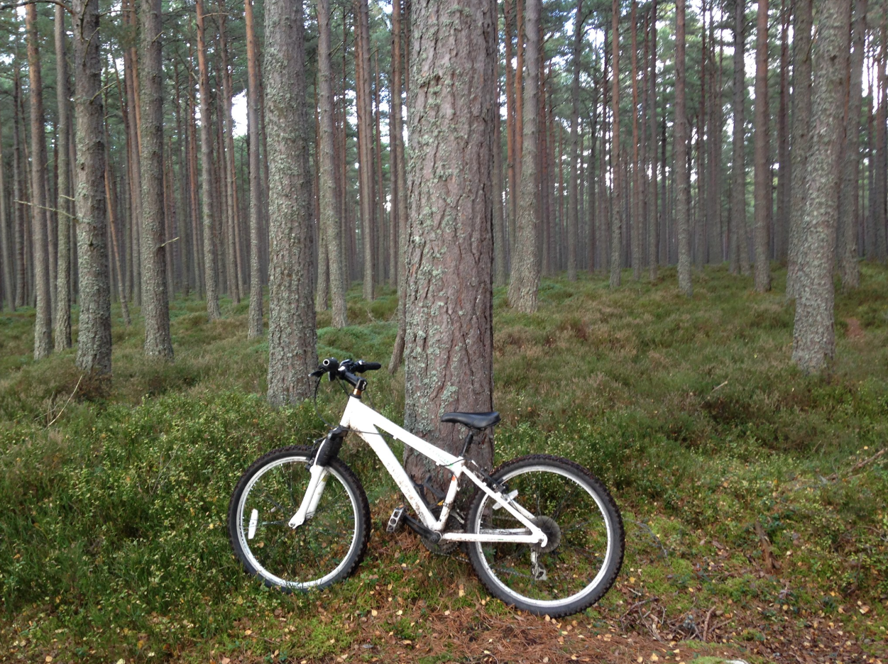 Self-Guided MTB Trails in the Cairngorms – 3-Night Adventure, photo 5