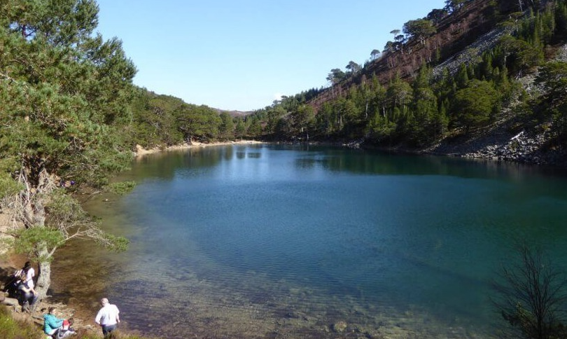 Scottish Glens, Forests and Lochs: 7-Night Walking Trip gallery 4