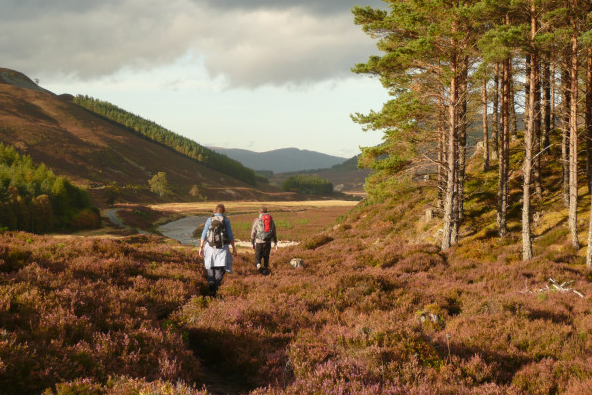 Scottish Glens, Forests and Lochs: 7-Night Walking Trip, photo 4