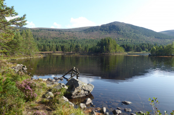 Scottish Glens, Forests and Lochs: 7-Night Walking Trip gallery 7