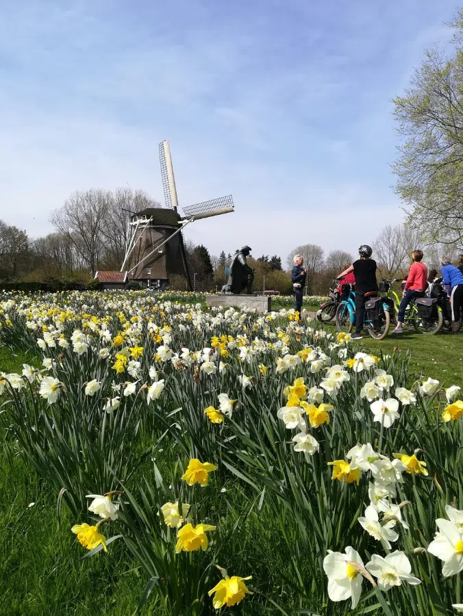 Amsterdam Countryside North E-Bike Tour, photo 4