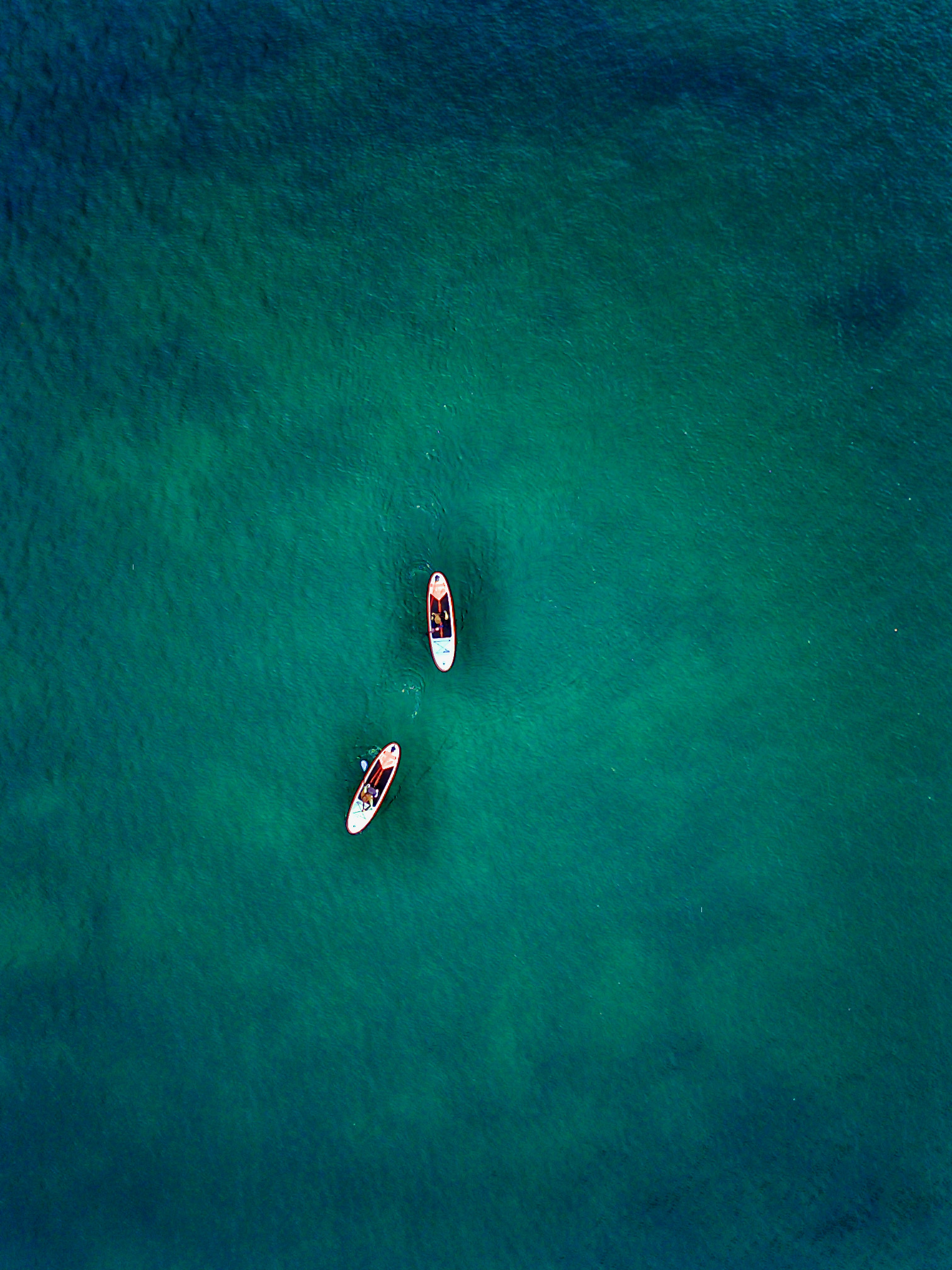 1.5-Hour SUP Improver Session in Plymouth, photo 3