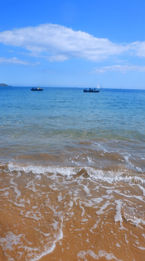 Paddleboard Tours in Salcombe, South Devon gallery 8