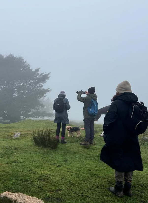 HALF DAY Guided Walking Tours on Dartmoor gallery 5