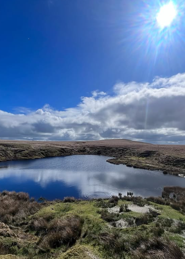 HALF DAY Guided Walking Tours on Dartmoor gallery 8