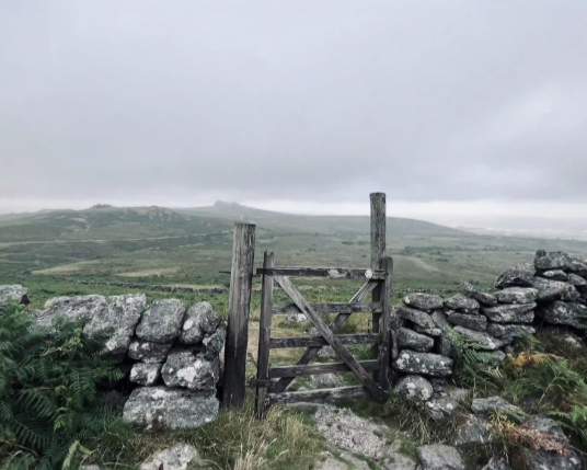 HALF DAY Guided Walking Tours on Dartmoor, photo 4