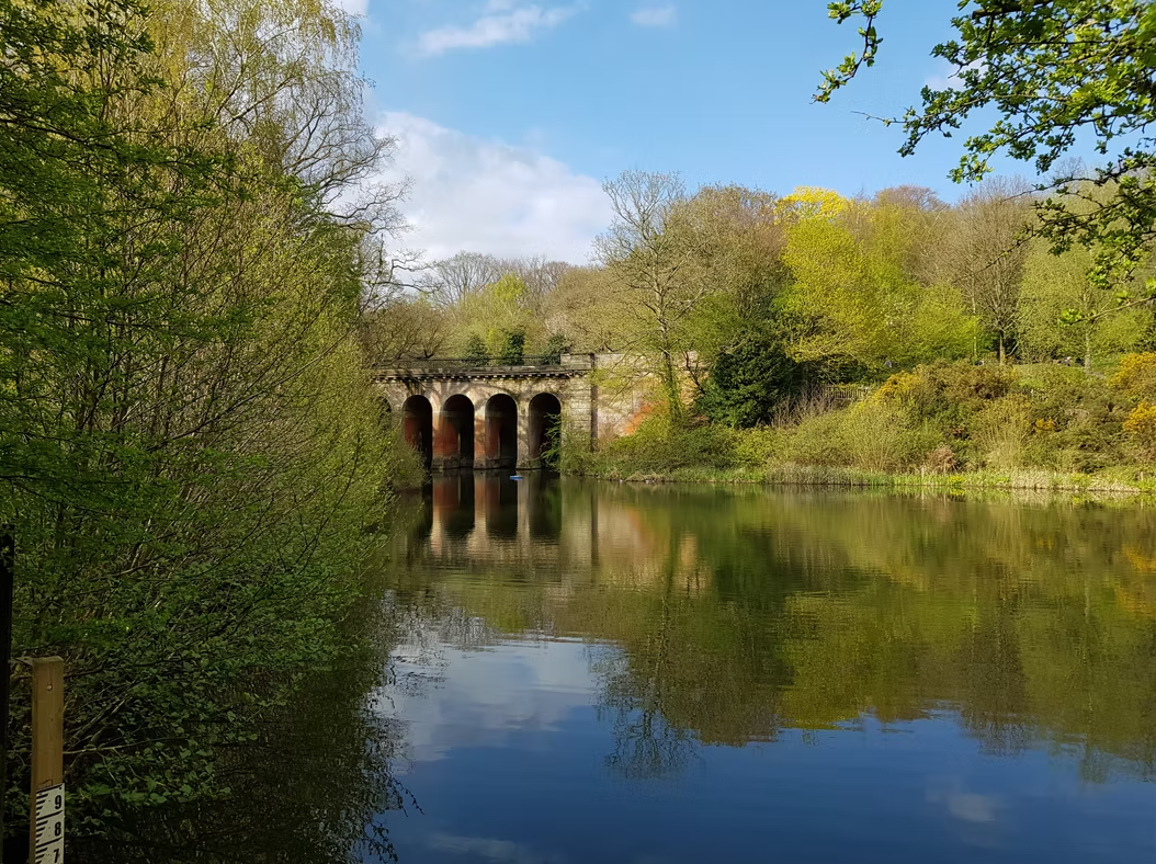 Navigation Course for Beginners in Hampstead Heath, listing photo