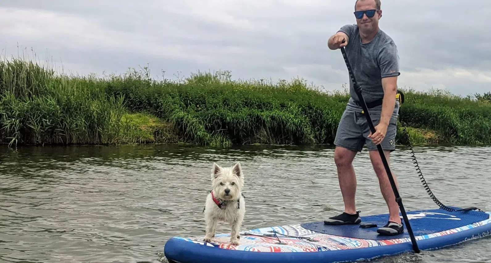 Learn to SUP n PUP Session in Worcestershire gallery 2