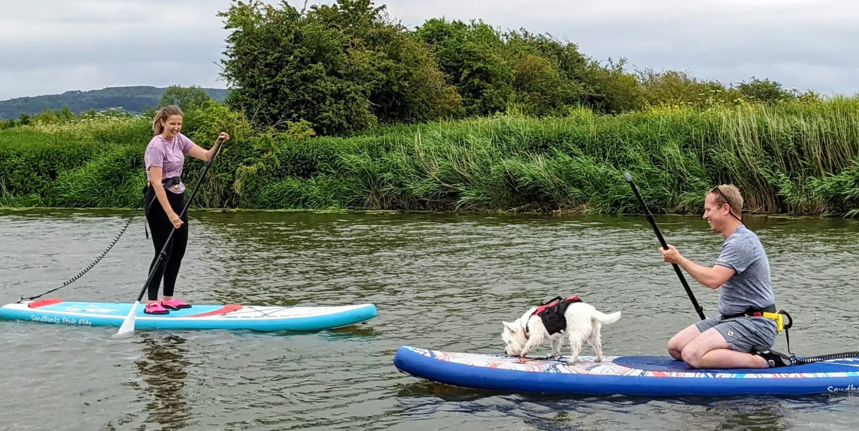 Learn to SUP n PUP Session in Worcestershire gallery 3