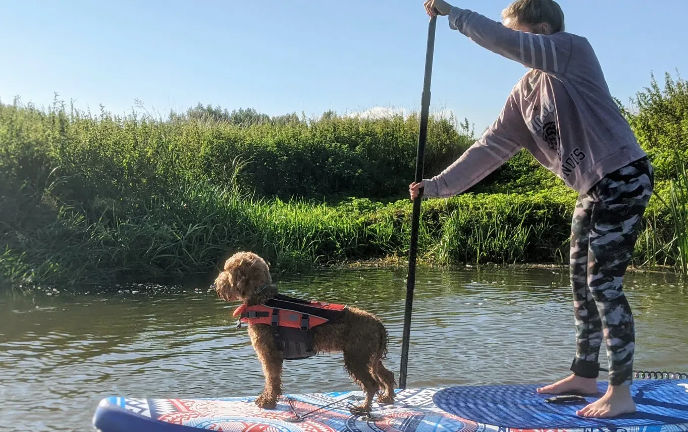 Learn to SUP n PUP Session in Worcestershire, photo 2