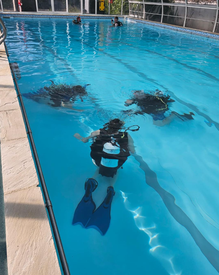 PADI ReActivate Course, photo 3
