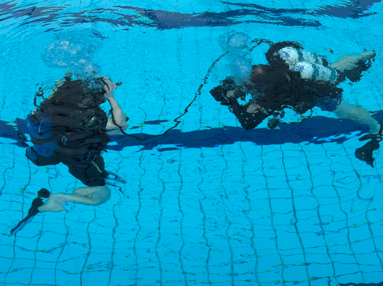 PADI ReActivate Course, photo 4