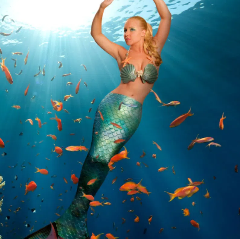 PADI Discover Mermaid Course, listing photo