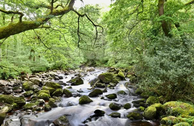 NNAS Silver Navigation Course at Dartmoor National Park gallery 2