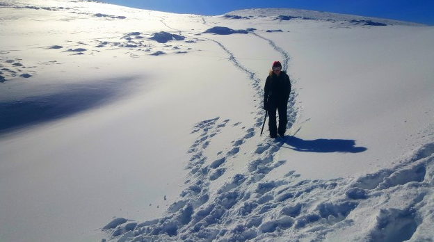 Cairngorm Plateau Snowhole Mountaineering Weekend, photo 5