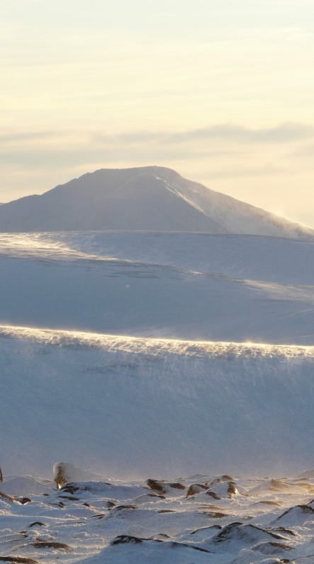 3 Day Winter Mountaineering Skills and Snowhole Expedition in the Cairngorms gallery 4