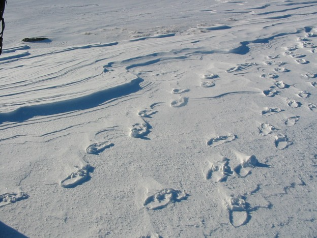 2 Day Winter Mountain Safety Weekend in the Cairngorms gallery 5