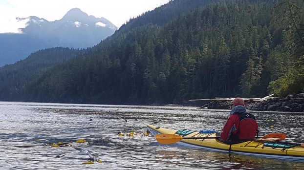 Vancouver Island and Broughton Archipelago Sea Kayak Expedition, photo 2
