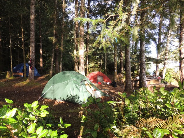 Vancouver Island and Broughton Archipelago Sea Kayak Expedition, photo 5