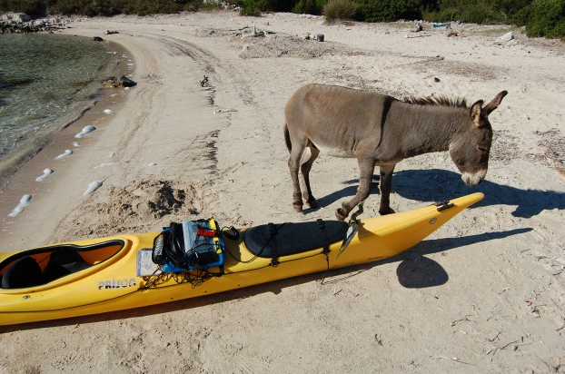 6 Day Beginner or Advanced Sea Kayak Expedition in Croatia gallery 2