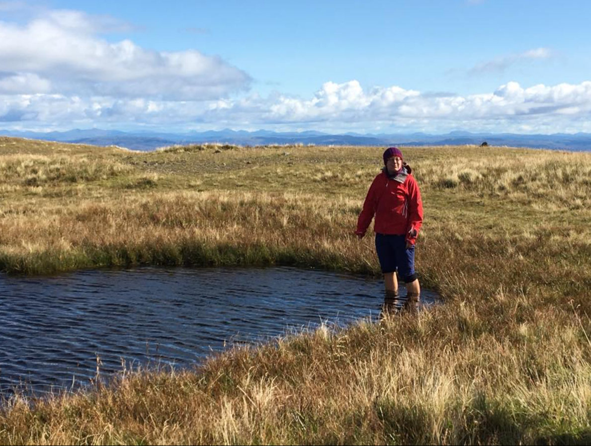 Private Guided Walks on the Isle of Mull gallery 5